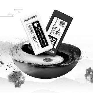 2.13 بوصة B / W ESL
